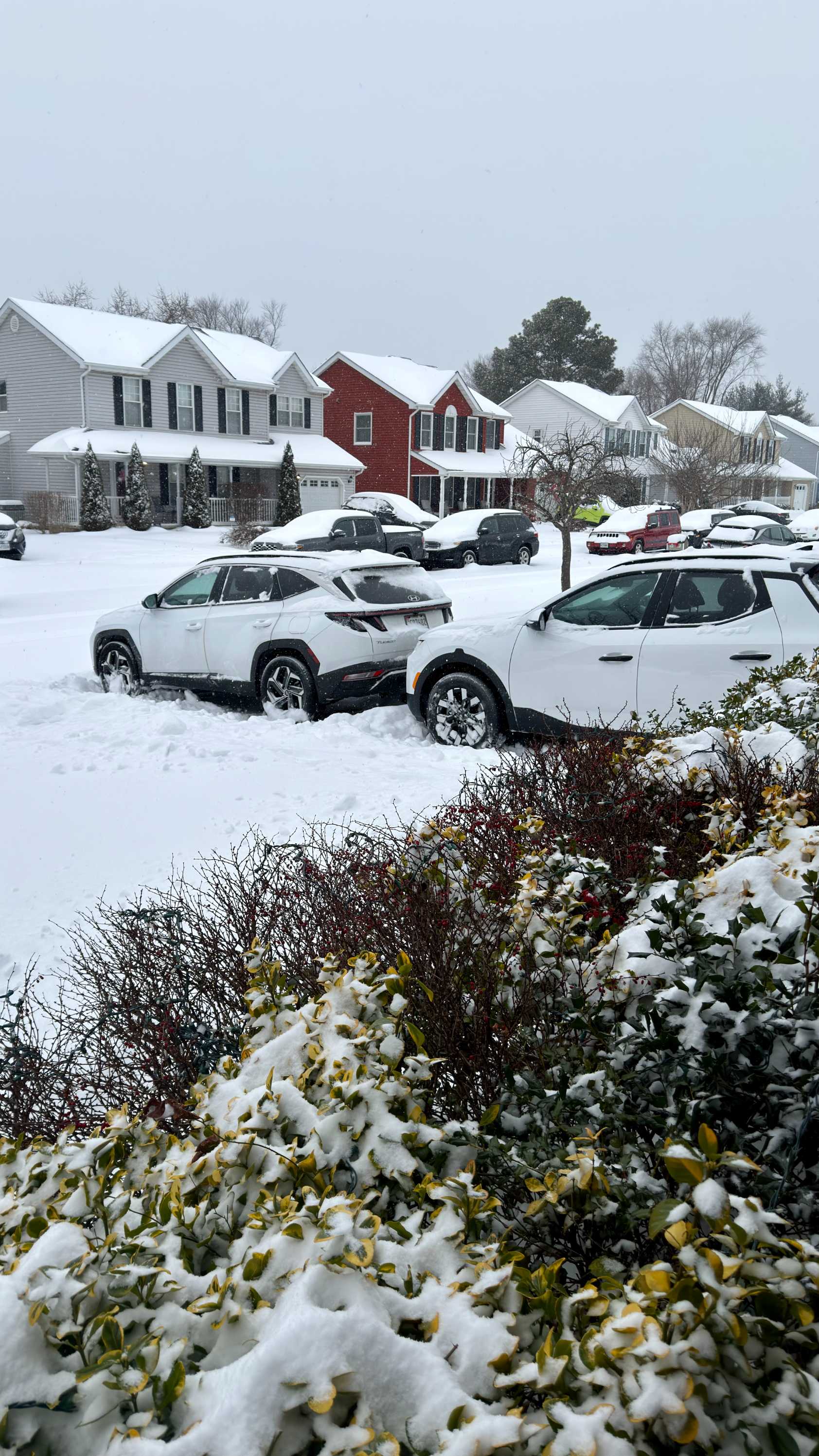 We woke up to several glorius inches of snow today. Baking, reading, and footbal... - image 1